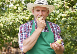 Eating an apple with dental implants